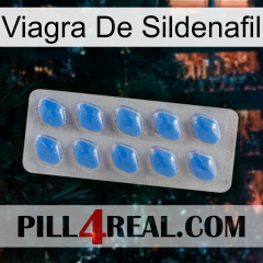 Sildenafil Viagra 22